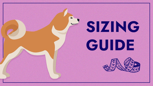 How to measure your dog?