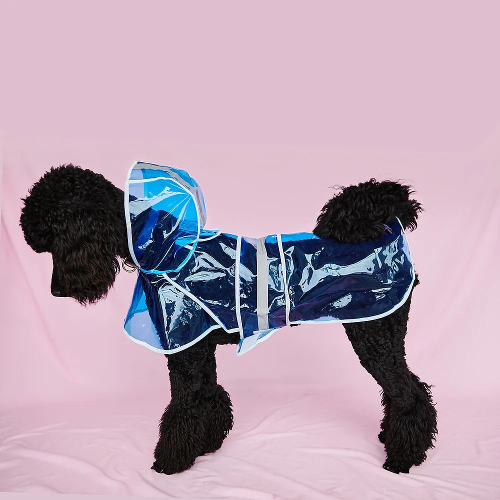 Clear Big Dog Raincoat | Blue