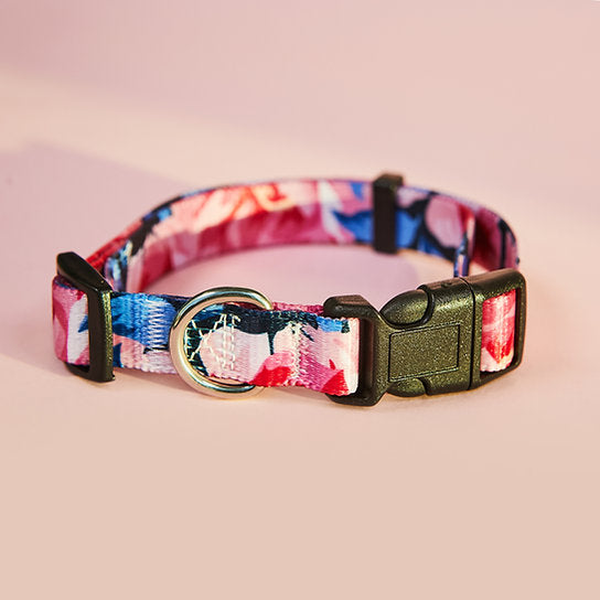 Set met hondenriem en halsband met patroon | Roze bloemen