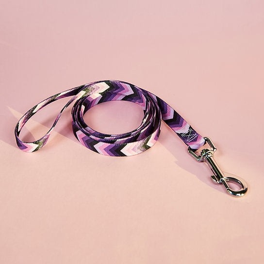 Set met hondenriem en halsband met patroon | Paars
