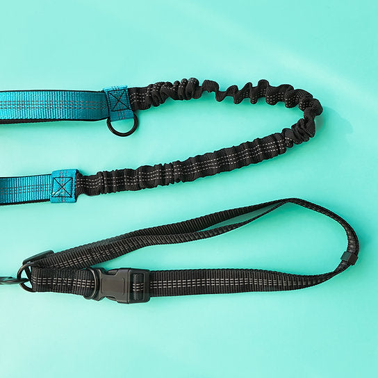 Dog Jogging Gear | Turquoise