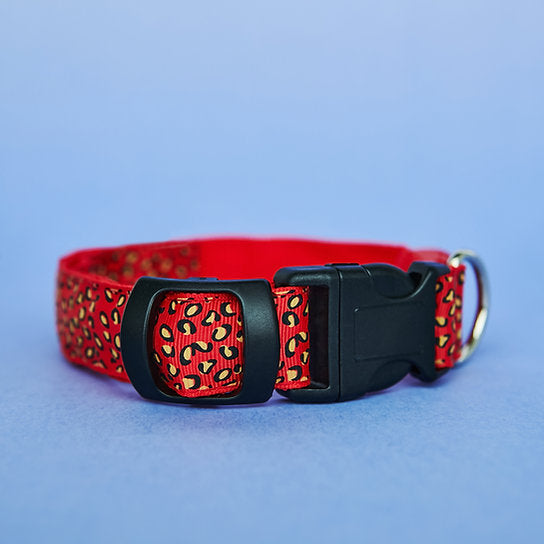 LED Dog Collar | Red