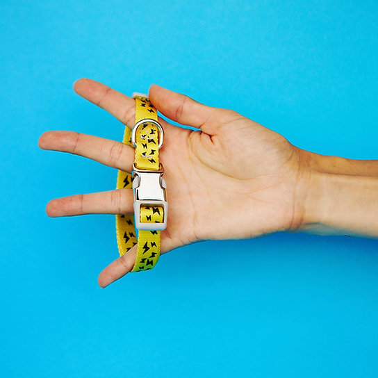 Funky Nylon Dog Collar | Yellow & Black