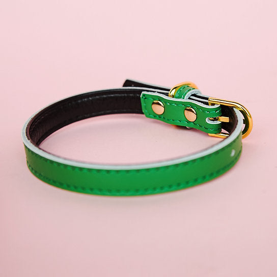 Leren Hondenhalsband | Groen