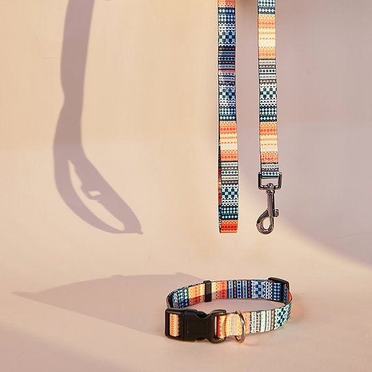 Set met hondenriem en halsband met patroon | Oranje