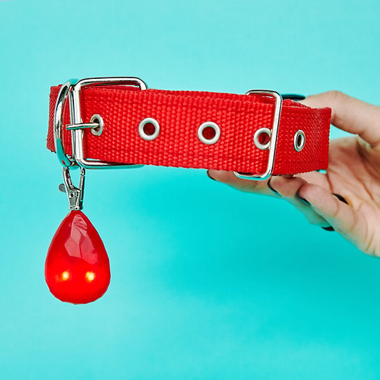 LED Dog Collar Pendant | Red