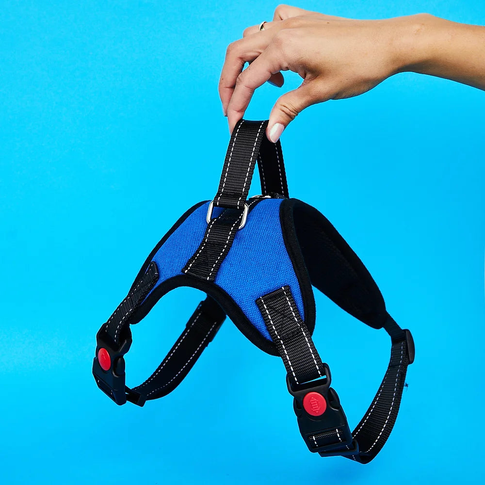 Adjustable Dog Harness | Blue