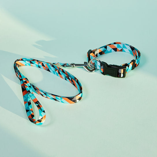 Set met hondenriem en halsband met patroon | Lichtgroen