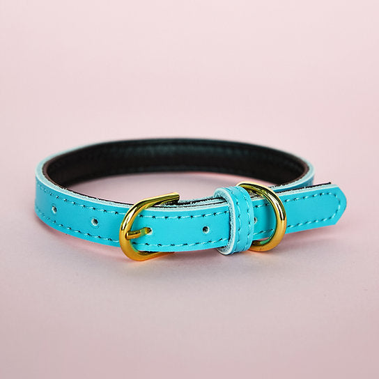 Hundehalsband aus Leder | Cyanblau