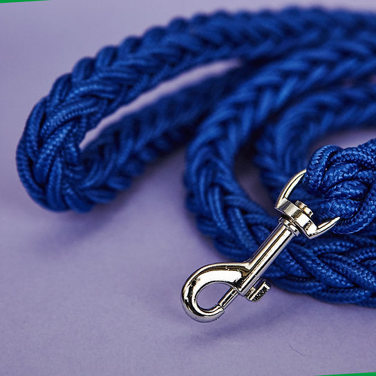 Twisted Leash with Martingale Collar | Blue
