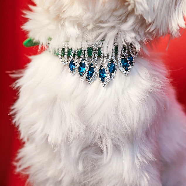 Luxurious Leather Dog Collar | Green