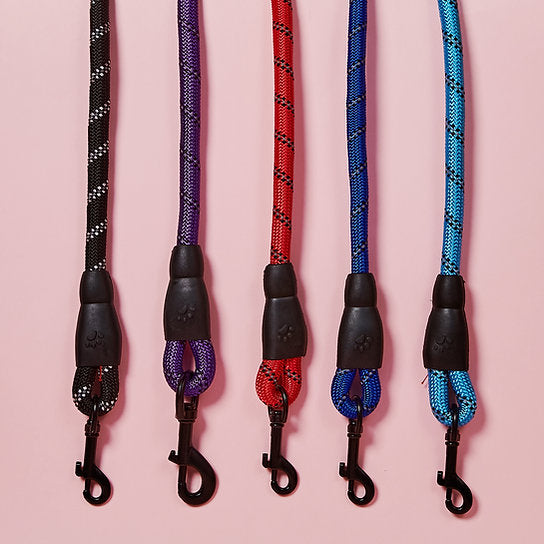 Reflecterende Nylon Hondenriem | Blauw