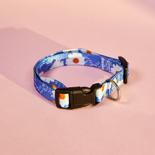 Set met hondenriem en halsband met patroon | Bloemen