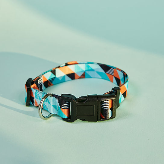 Set met hondenriem en halsband met patroon | Lichtgroen