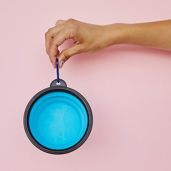 Pop-Out Dog Food Bowl | Light Blue