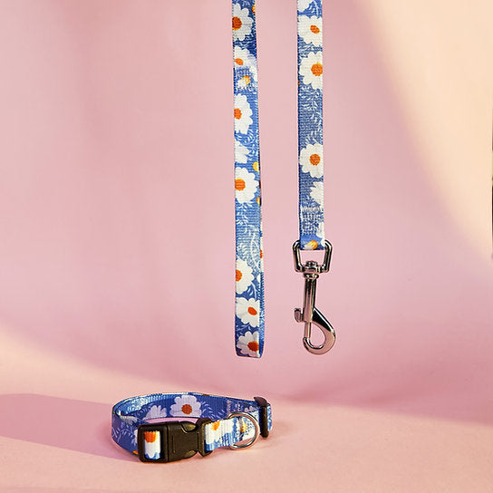 Set met hondenriem en halsband met patroon | Bloemen