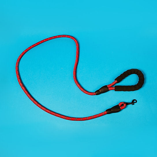 Reflective Nylon Dog Leash | Red