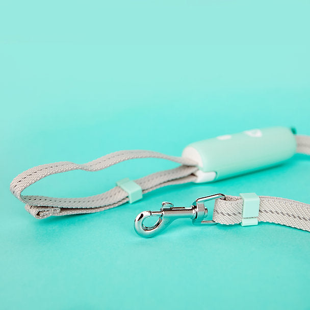Innovatieve hondenriem | Mintgroen