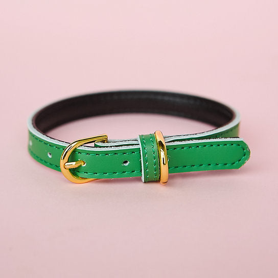 Leren Hondenhalsband | Groen