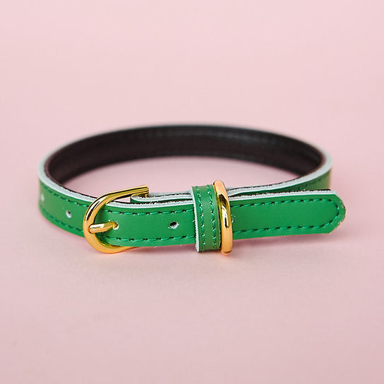Leather Dog Collar | Green