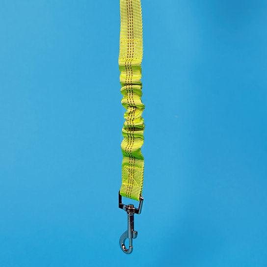Dog Seat Belt Leash | Green