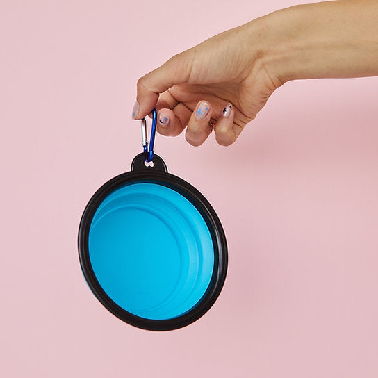 Pop-Out Dog Food Bowl | Light Blue