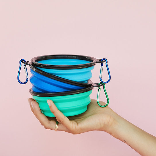 Pop-Out Dog Food Bowl | Blue
