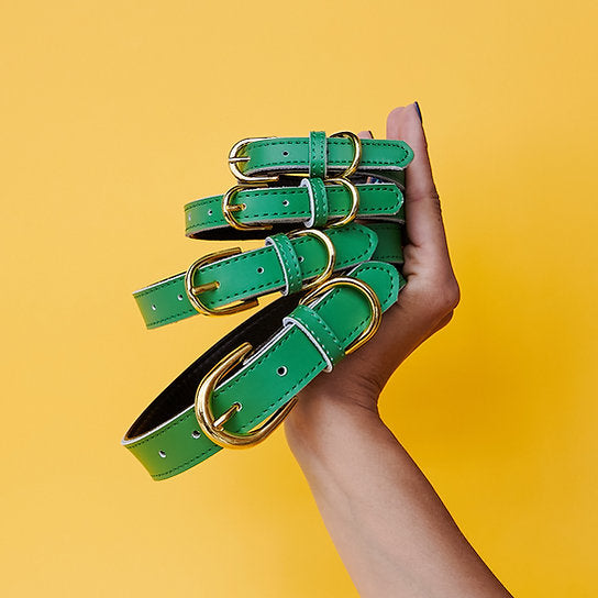 Leren Hondenhalsband | Groen