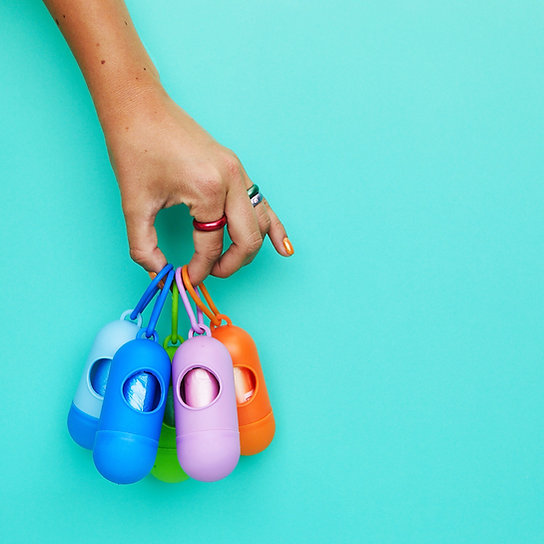 Pill-Shaped Dog Poop Bag Holder | Green