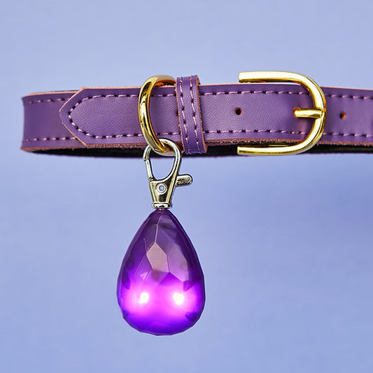 LED Hundehalsband Anhänger | Lila