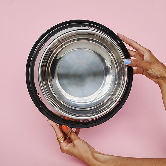 Painted Non-Slippery Bowl | Silver Shine