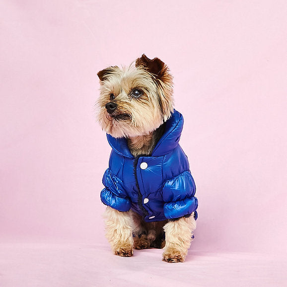 Warm Puffer Dog Jumpsuit | Blue