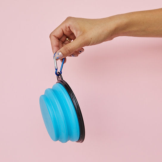 Pop-Out Dog Food Bowl | Light Blue