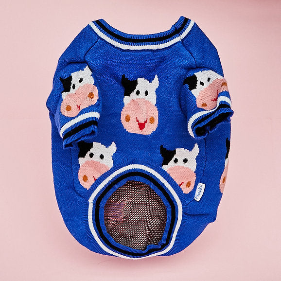 Warm Dog Sweater | Blue