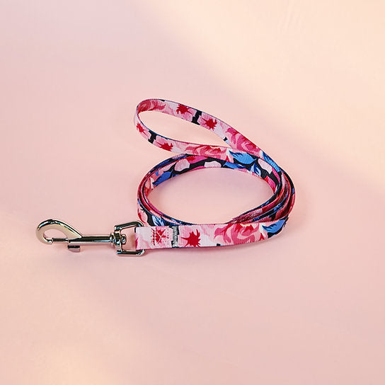 Set met hondenriem en halsband met patroon | Roze bloemen