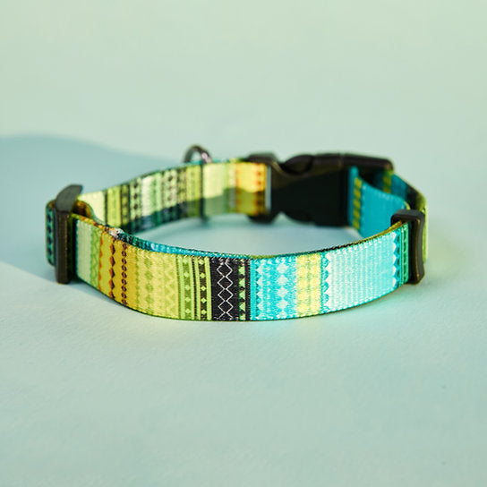 Set met hondenriem en halsband met patroon | Geel