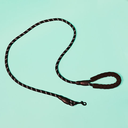 Reflective Nylon Dog Leash | Black