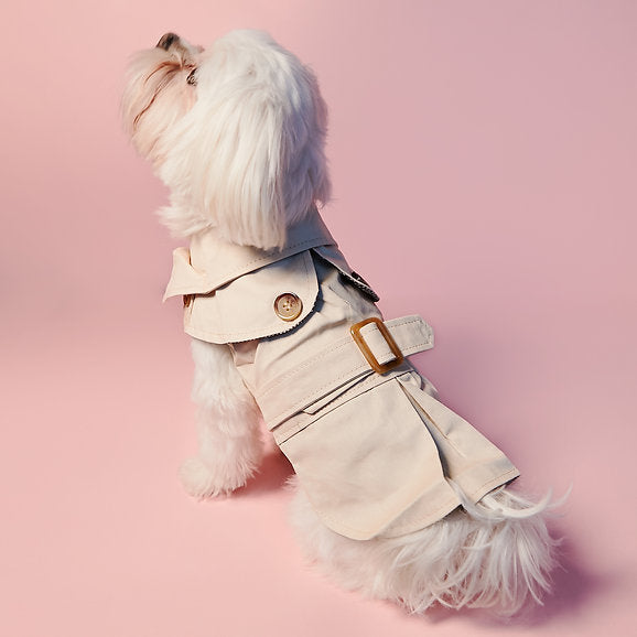 British Style Dog Coat | Cream