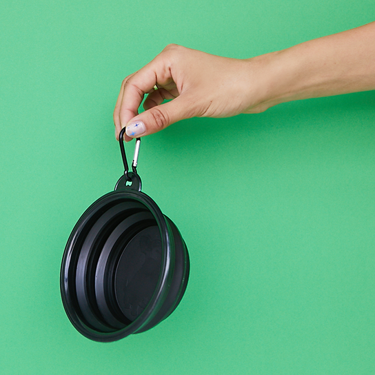 Pop-Out Dog Food Bowl | Black