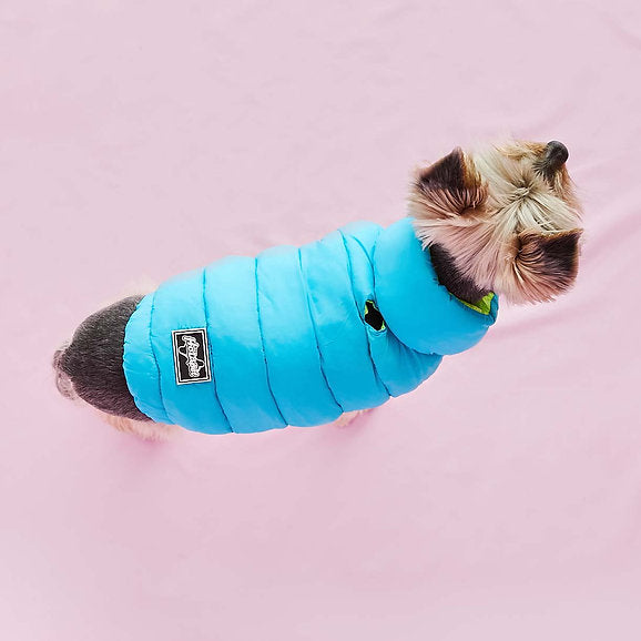 Puffer Dog Vest | Neon Green & Blue