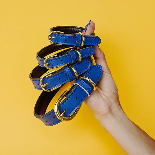 Leren Hondenhalsband | Donkerblauw