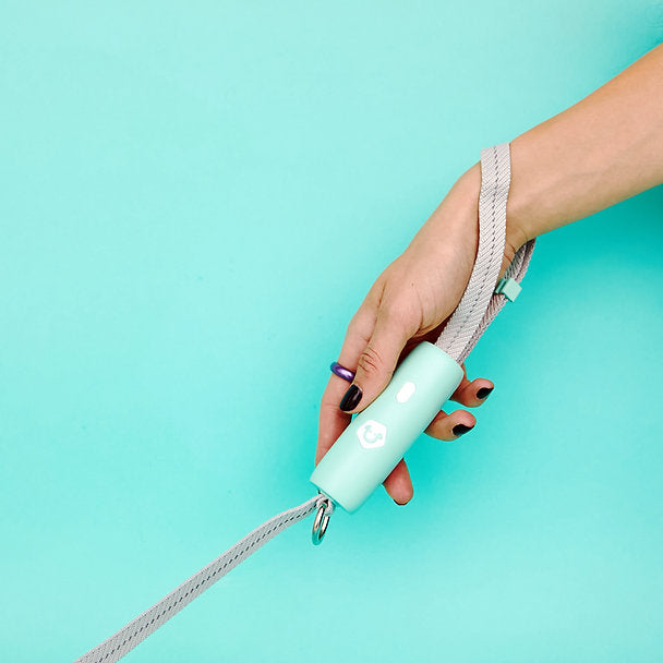 Innovatieve hondenriem | Mintgroen
