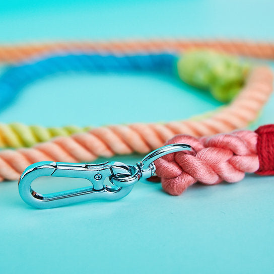 Twisted Rope Dog Leash | Rainbow