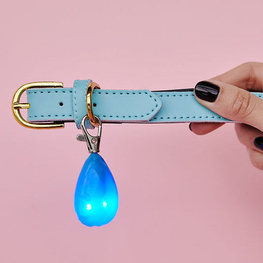 LED Hundehalsband Anhänger | Blau