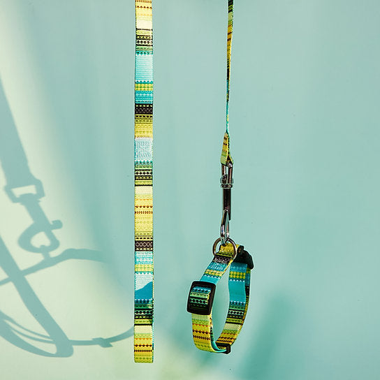 Set met hondenriem en halsband met patroon | Geel