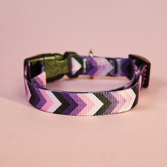 Set met hondenriem en halsband met patroon | Paars