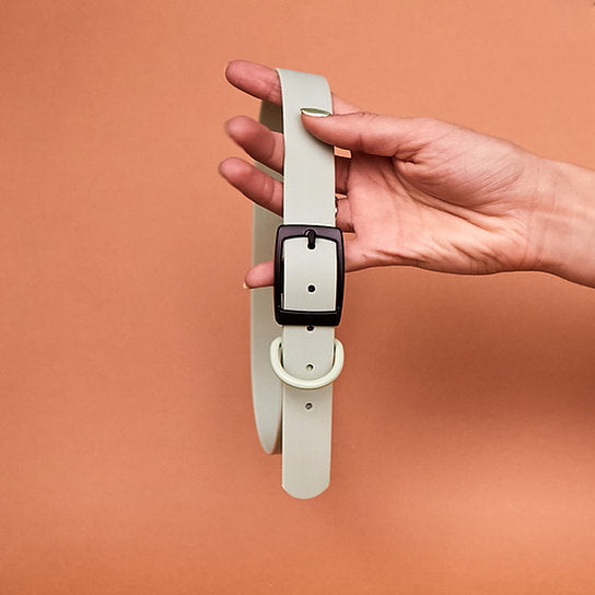 Waterproof Leash with Collar | Pastel Grey | Large