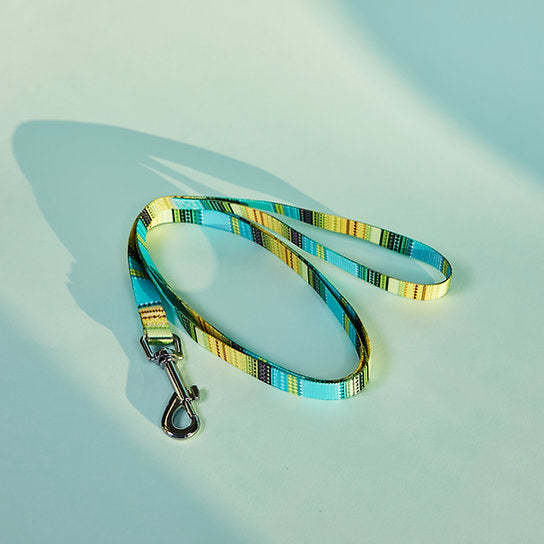 Set met hondenriem en halsband met patroon | Geel