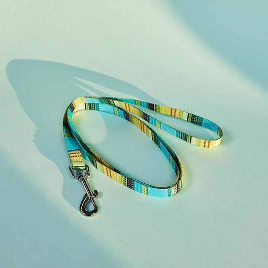 Patterned Dog Leash and Collar Set | Yellow