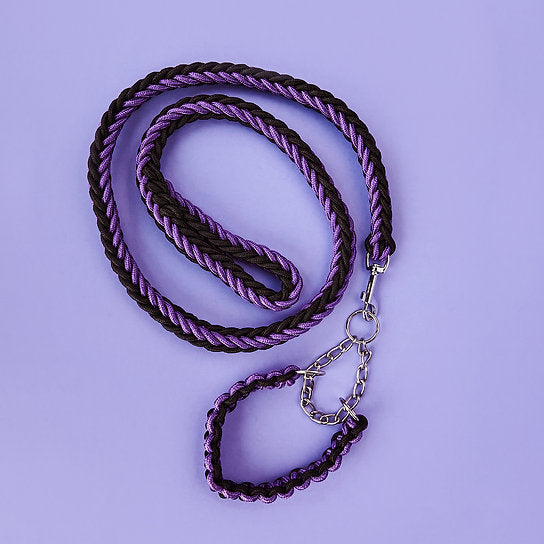 Twisted Leash met Martingale Halsband | Paars